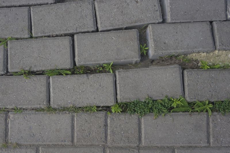 Weed-Free Paver Joints