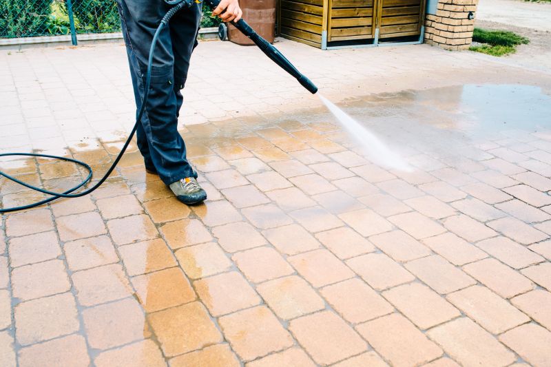 Paver Cleaning in Action