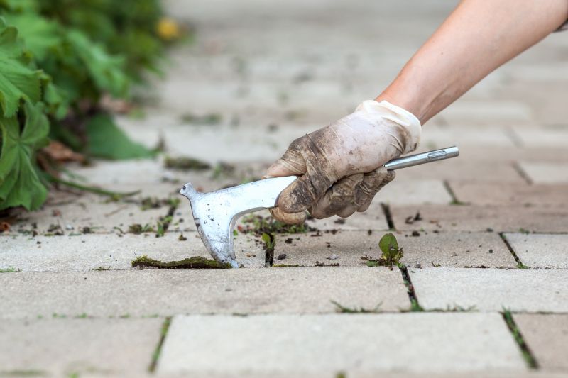 Spring Cleaning of Pavers