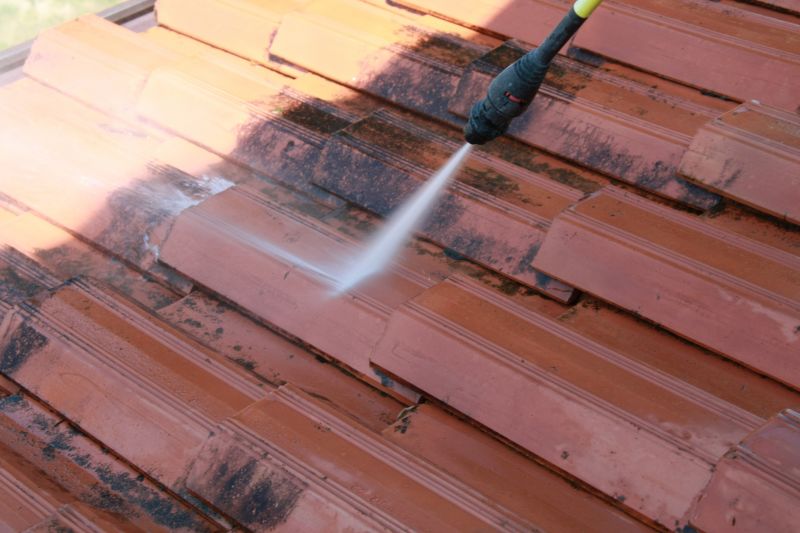 Roof Mold Cleaning in Vancouver, WA